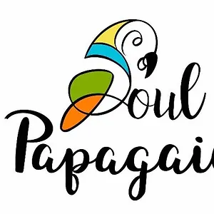 https://pousada-soul-papagaio.santa-catarina-brasil.com